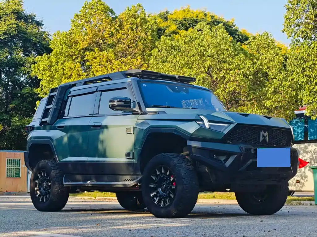 Mengshi Mengshi 917 — миниатюра 3