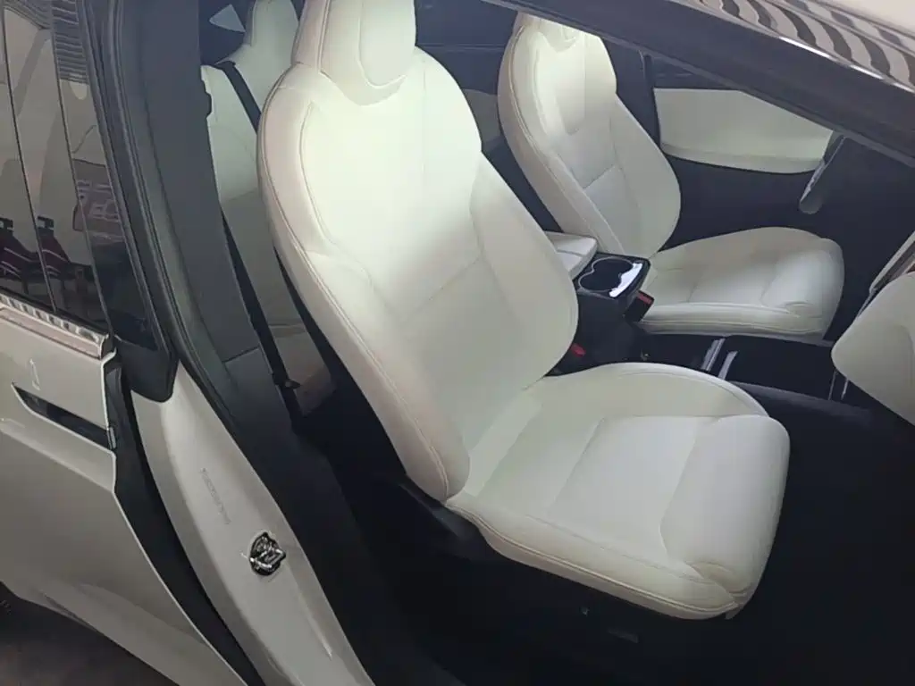 Tesla Model X — миниатюра 25