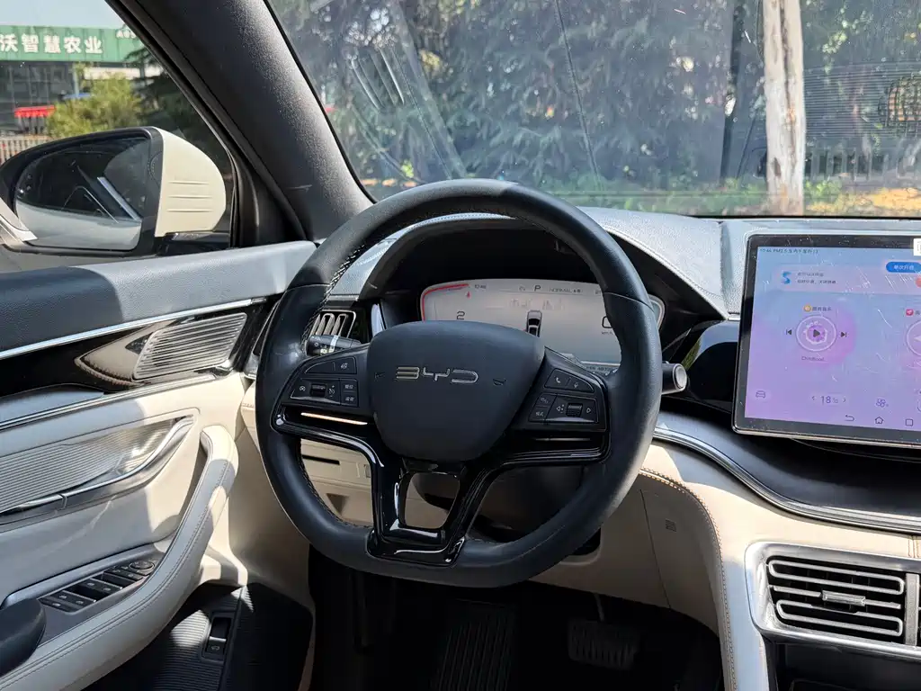 BYD PLUS New Energy — миниатюра 5