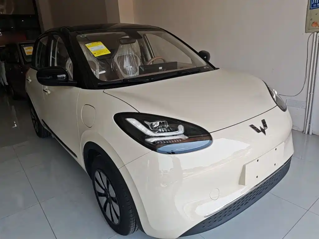 Wuling Binguo 2025 333km Enjoy