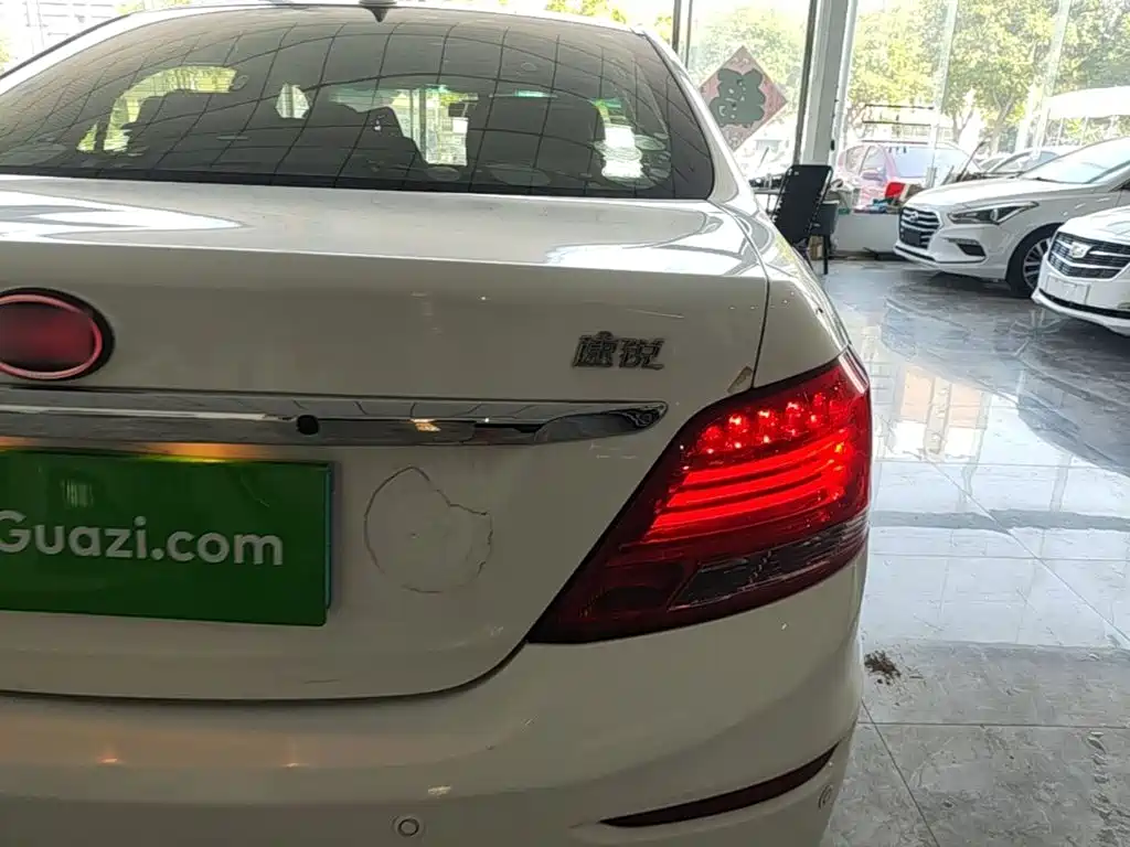 BYD Surui — миниатюра 8