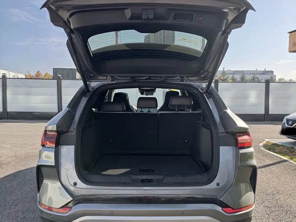 BYD SONGJIANG NEW ENERGY