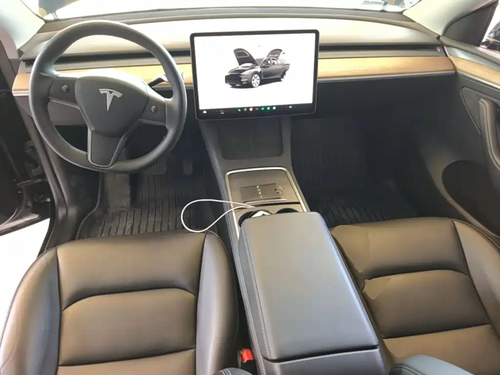Tesla Model Y — миниатюра 10