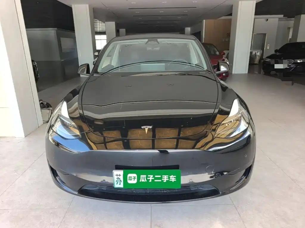 Tesla Model Y — миниатюра 3