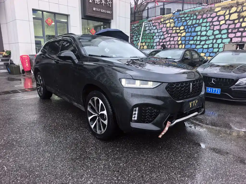 WEI PAI WEI BRAND VV7