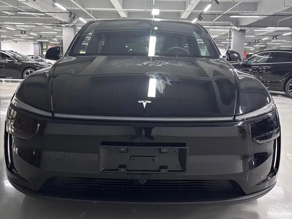 Tesla Model Y — миниатюра 2