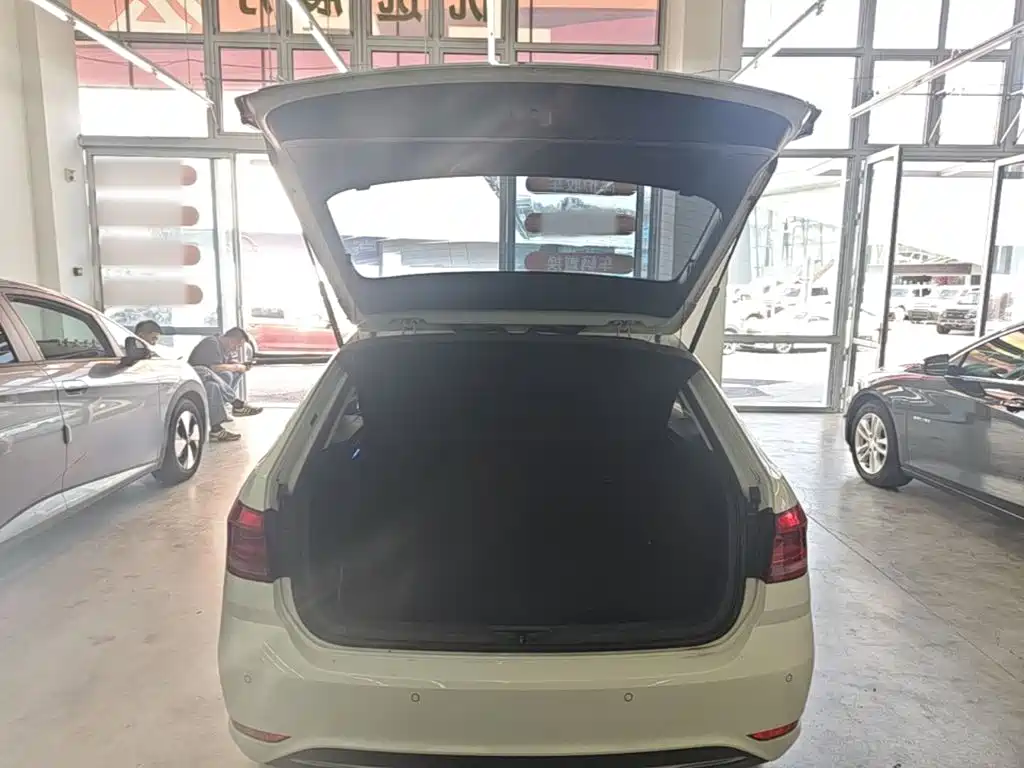 Volkswagen Gran Lavida — миниатюра 19