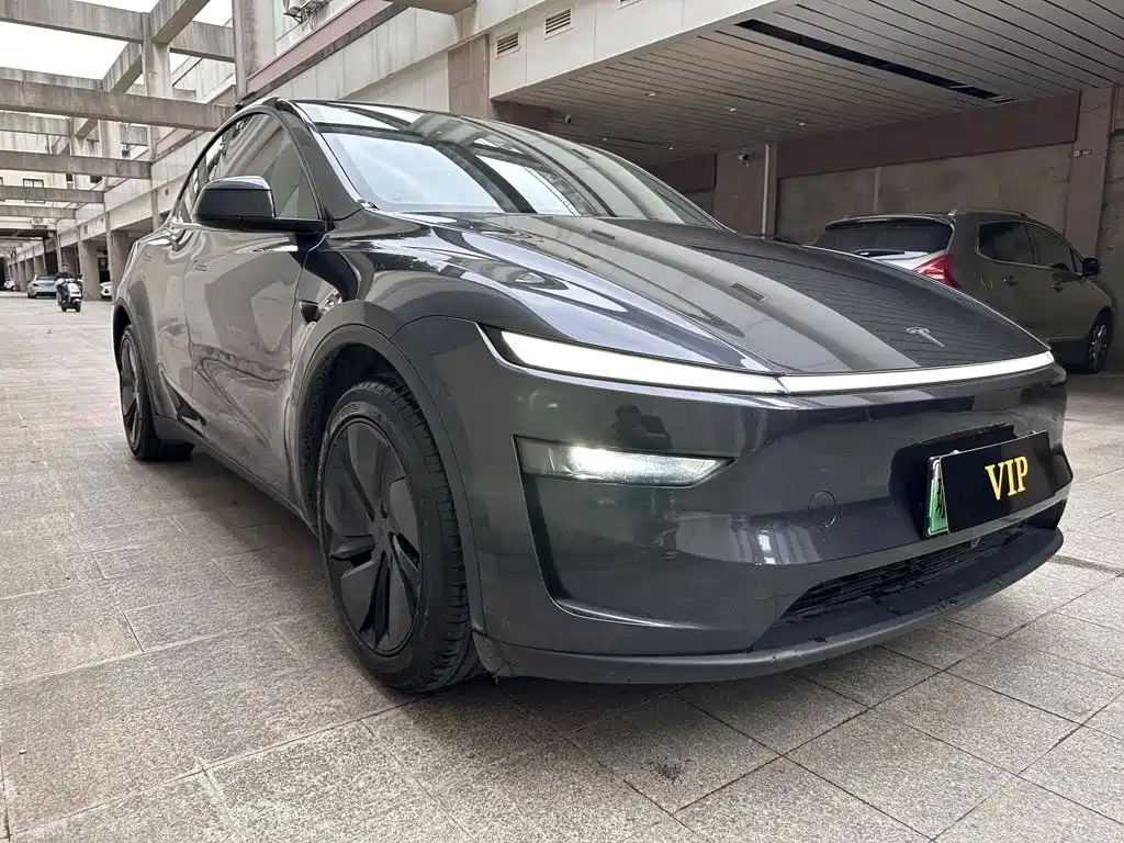Tesla Model Y — миниатюра 3