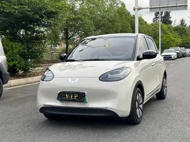 2025 Wuling Motors Binguo