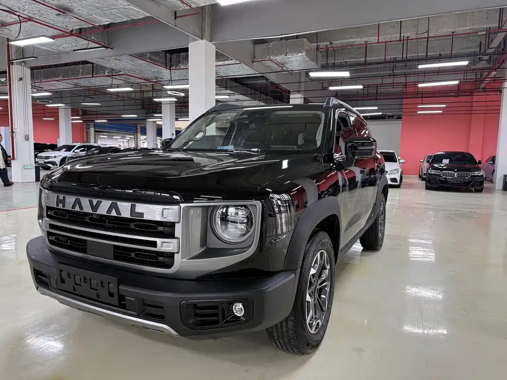 HAVAL BIG DOG