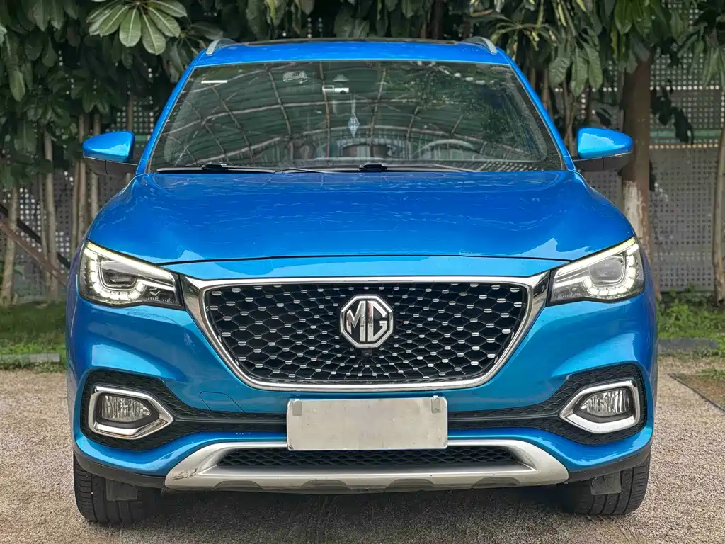 Mg HS 2019