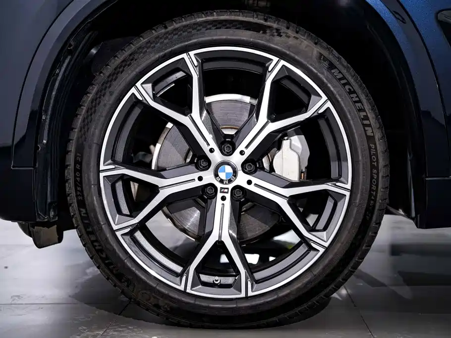 BMW X5 — миниатюра 12