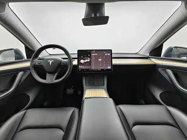 Tesla Model Y — миниатюра 5
