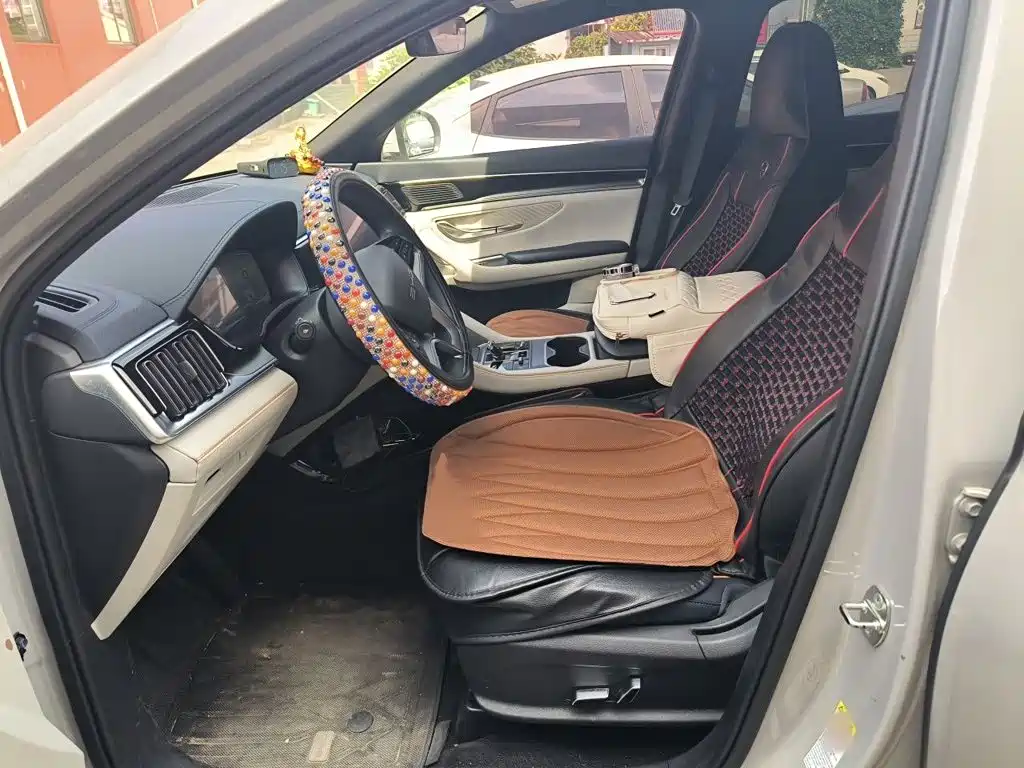 BYD PLUS New Energy — миниатюра 8