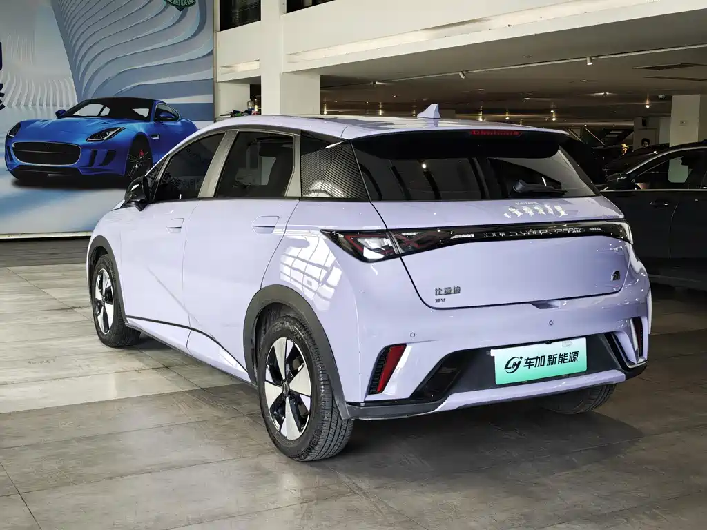 BYD Dolphin 2023 420km Fashion