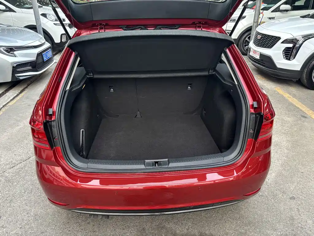 Volkswagen Gran Lavida — миниатюра 19