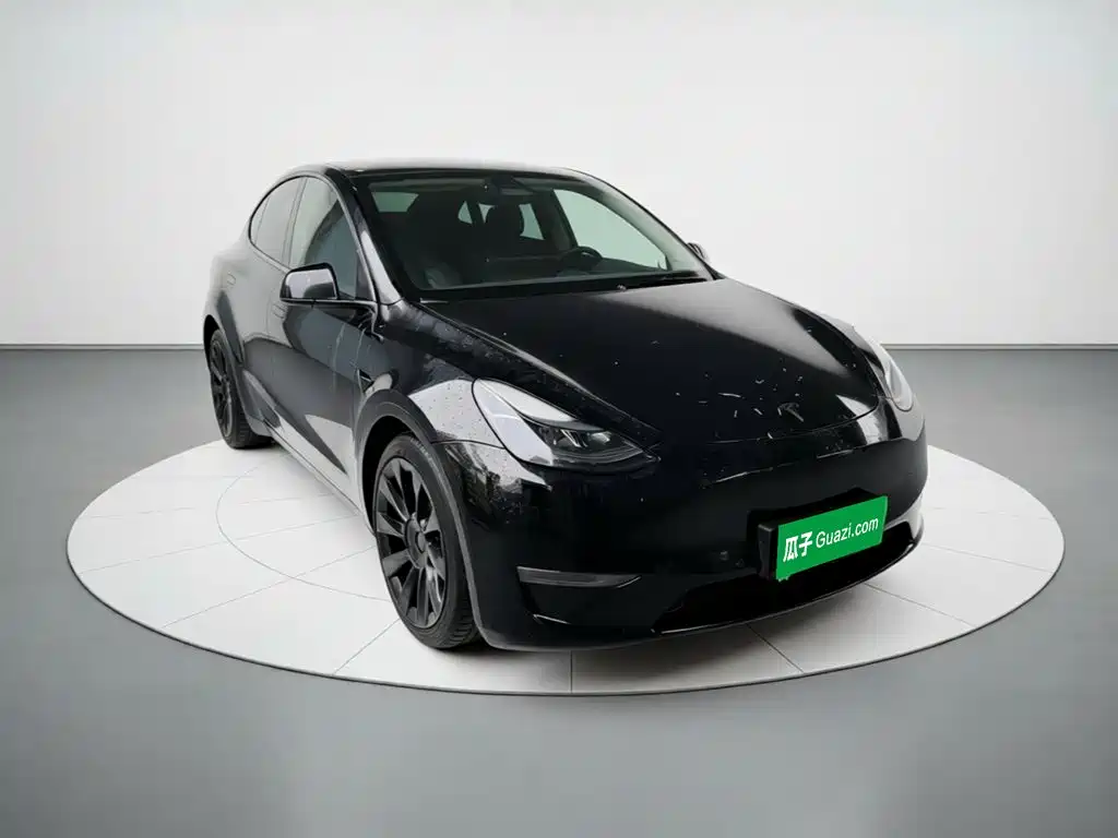 Tesla Model Y — миниатюра 3