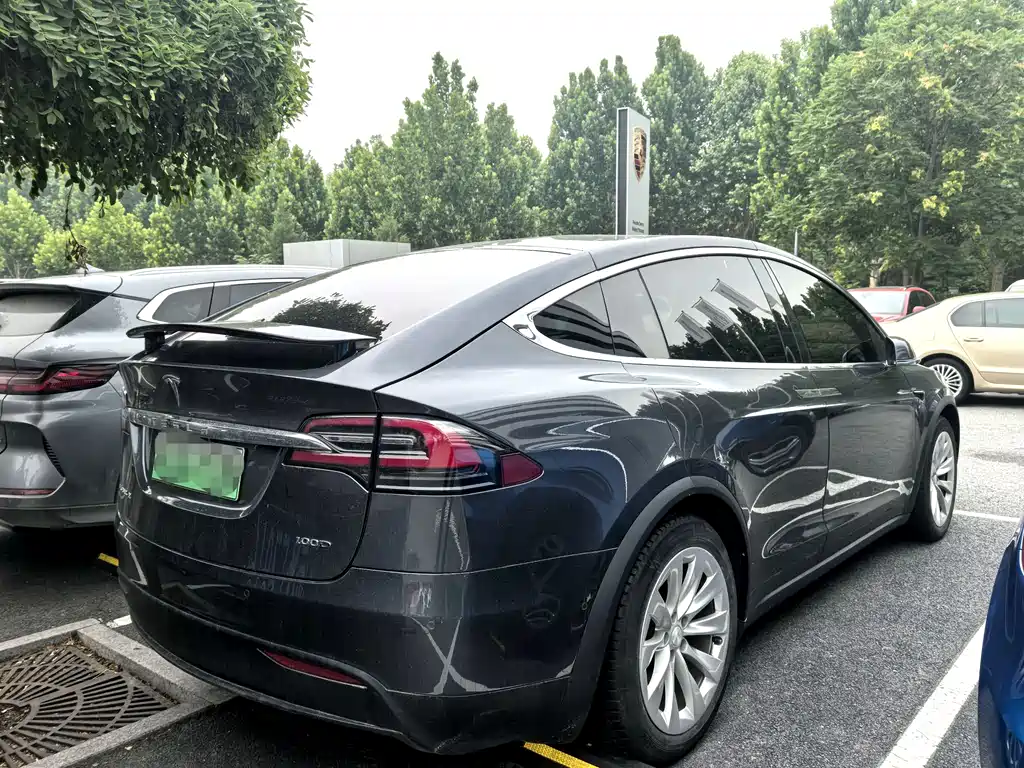 Tesla Model X 2017 Model X 100D
