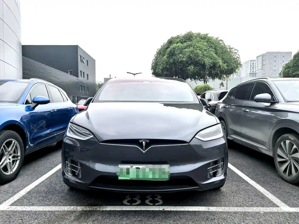 Tesla Model X 2017 Model X 100D