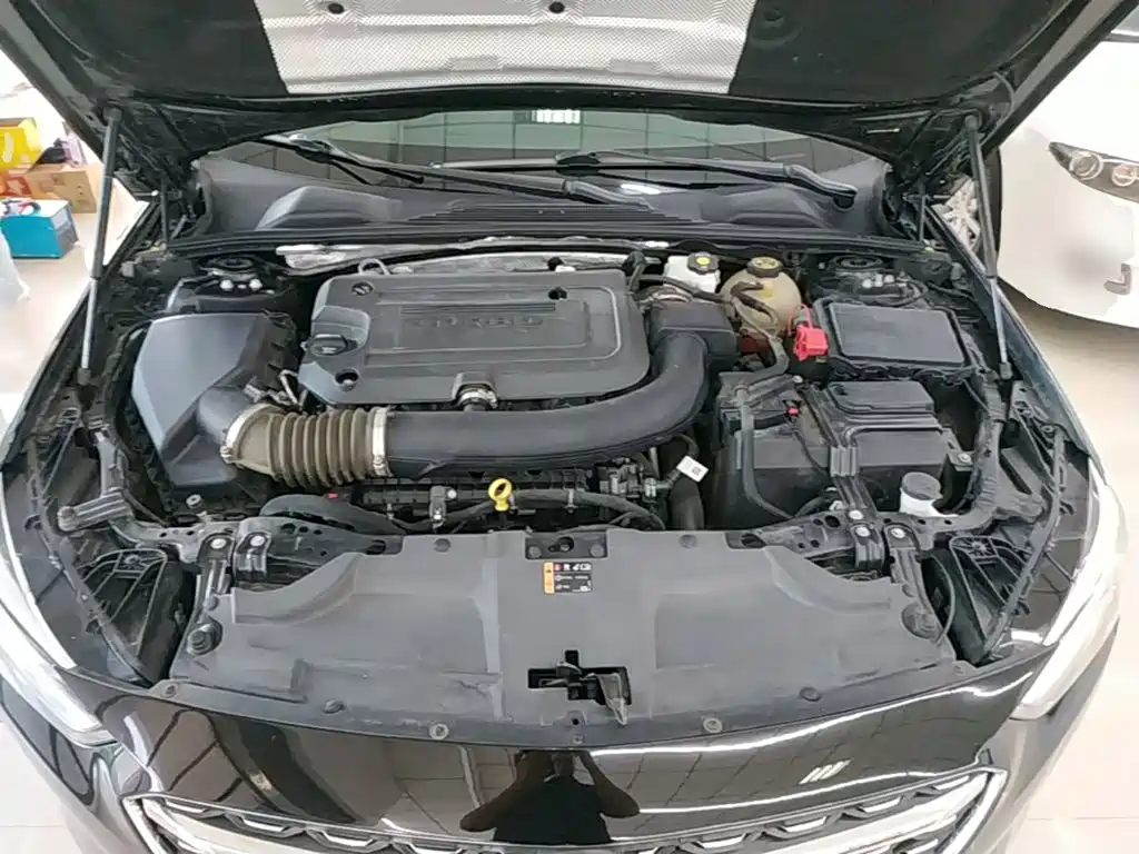 Buick Regal — миниатюра 20