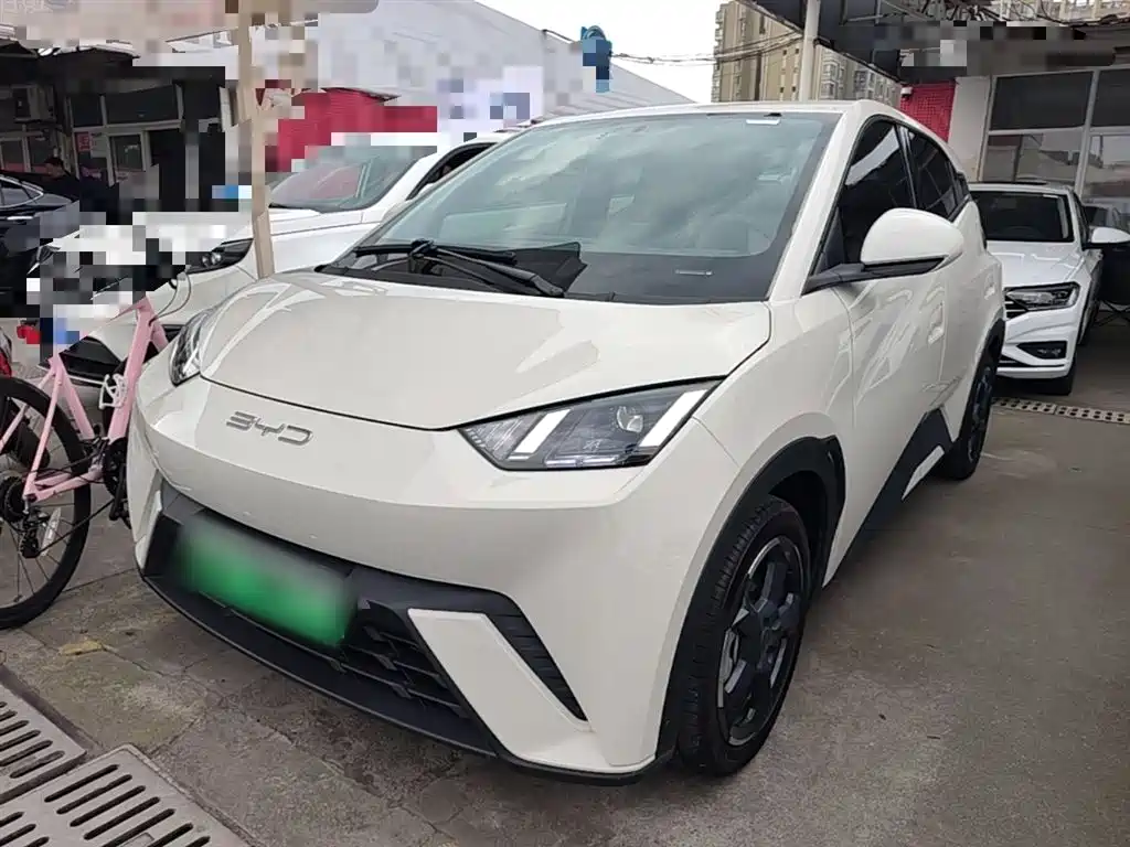 Byd Seagull 2024