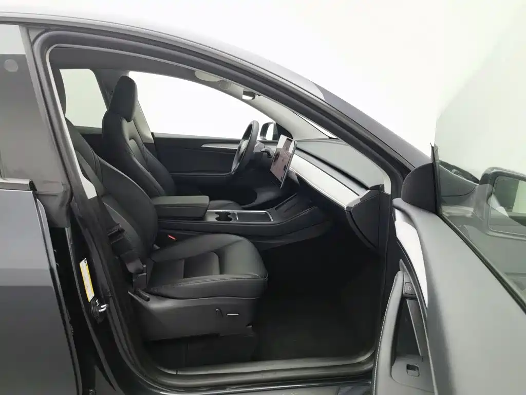 Tesla Model Y — миниатюра 23