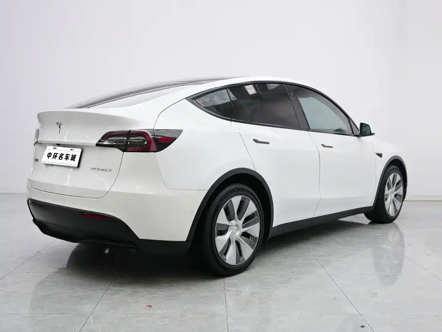 Tesla Model Y — миниатюра 15