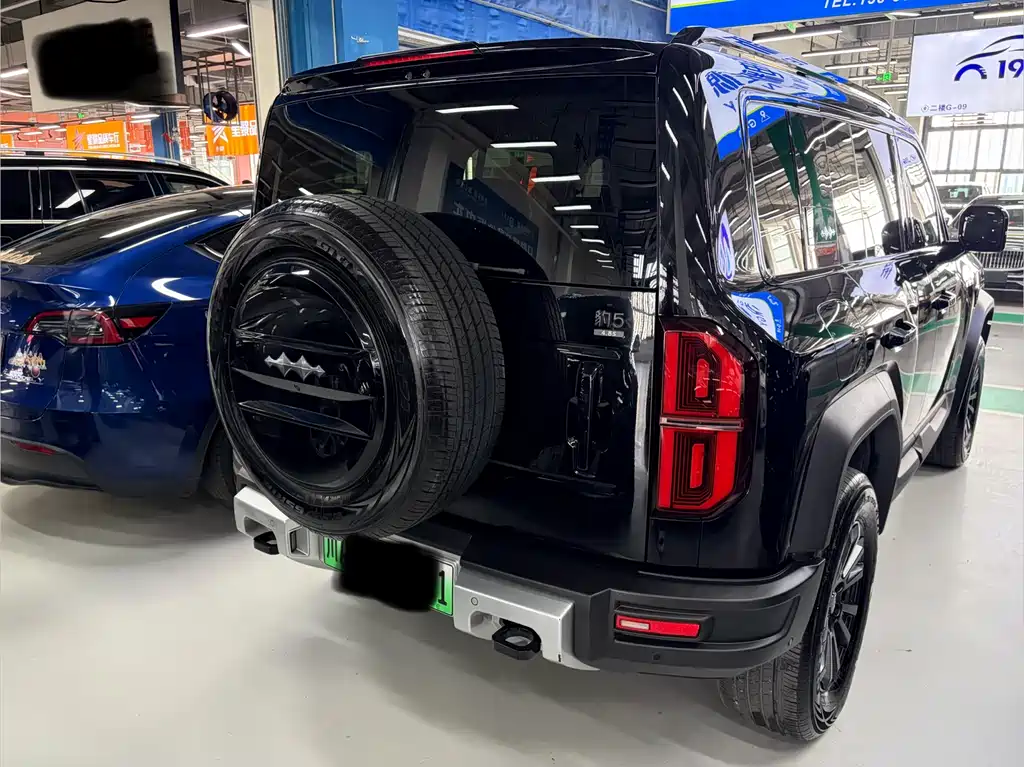 FANG CHENG BAO LEOPARD 5