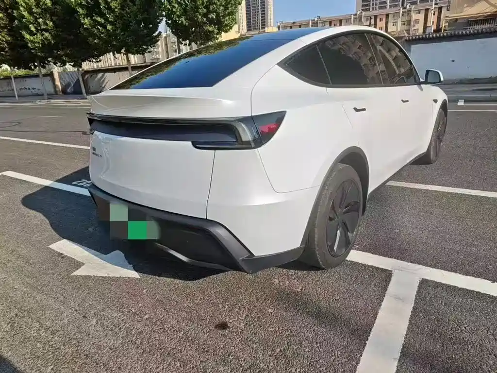 Tesla Model Y — миниатюра 7