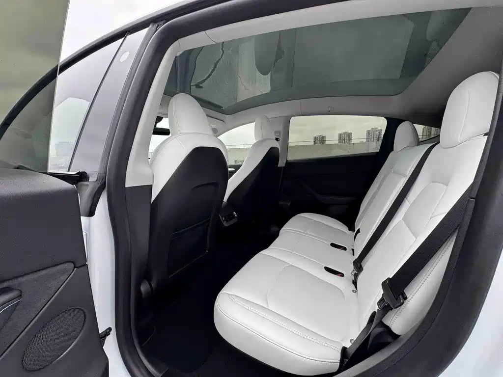 Tesla Model Y — миниатюра 13