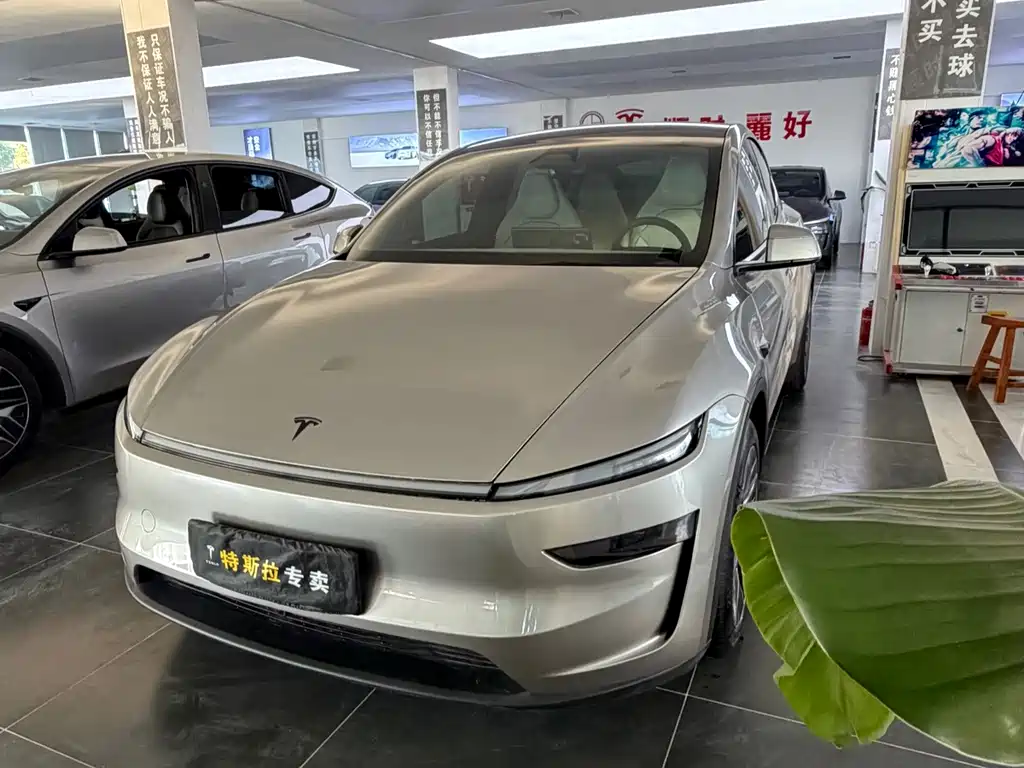 Tesla Model Y L
