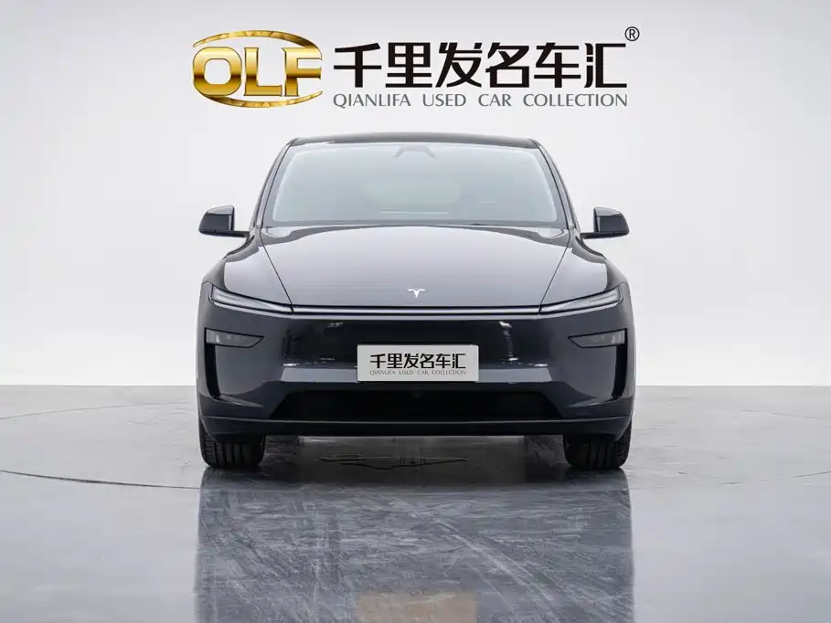 Tesla Model Y — миниатюра 6