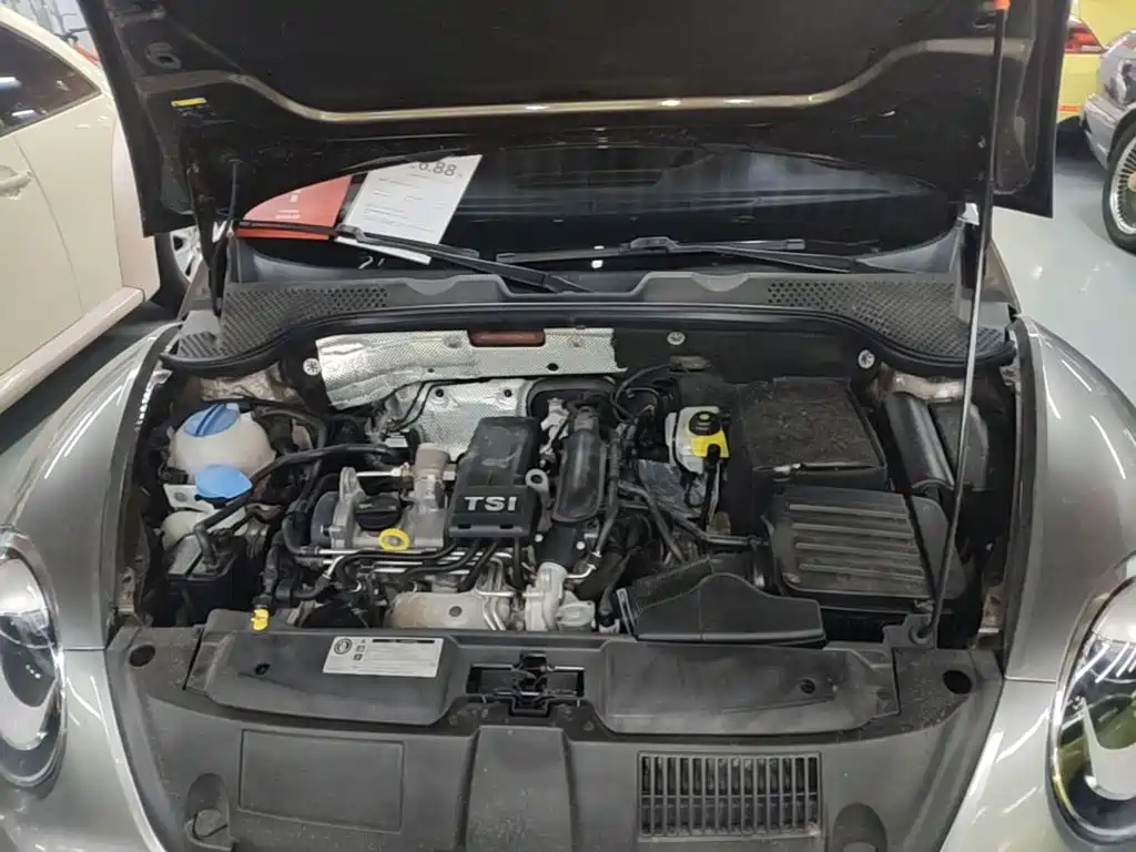 Volkswagen Beetle — миниатюра 20