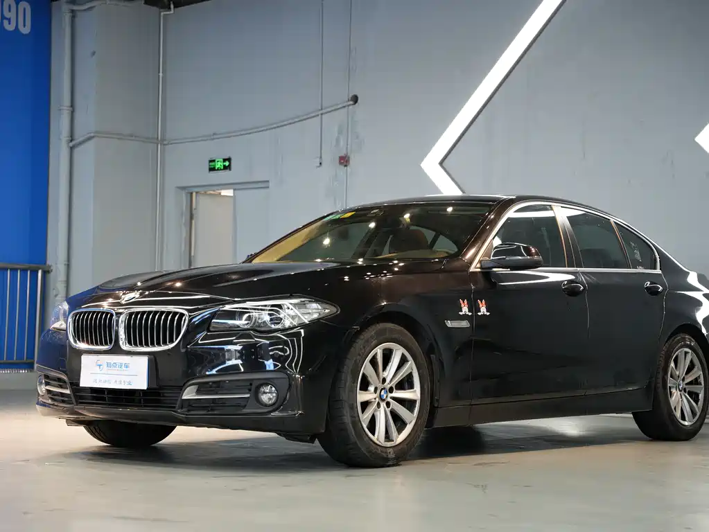 BMW 5 Series (Import) 2016