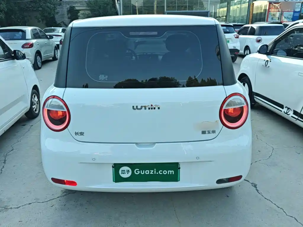 Qiyuan Lumin — миниатюра 6
