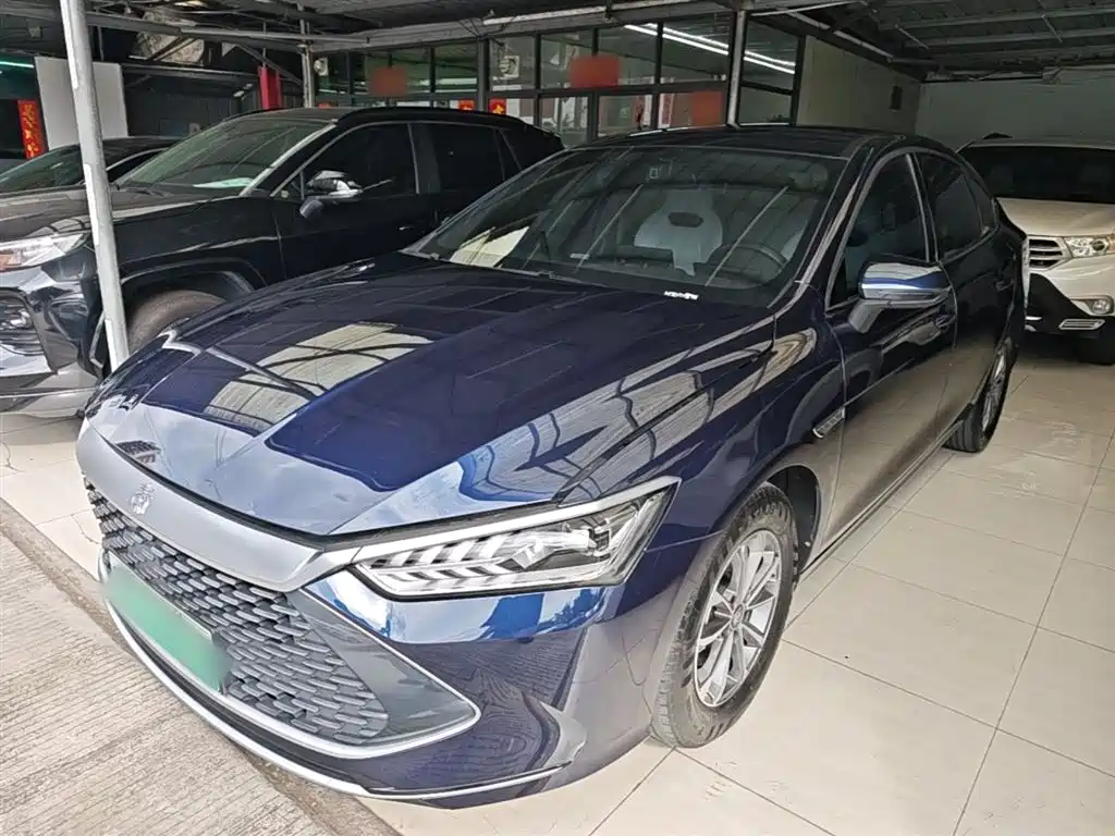 BYD Qin Plus PLUS 2024 DM-i 55KM Lead
