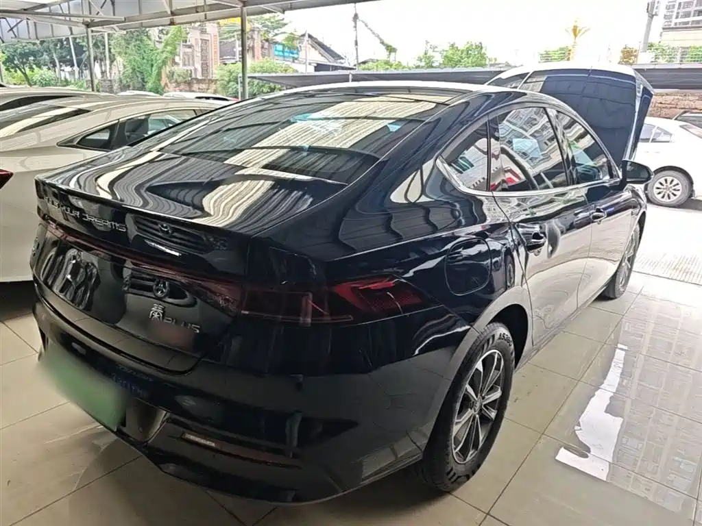 BYD Qin Plus PLUS 2024 DM-i 55KM Lead