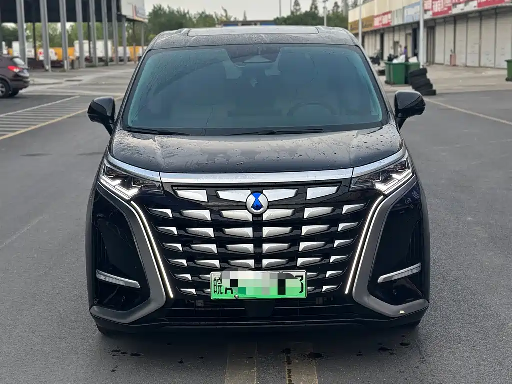 Denza Denza D9 — миниатюра 2