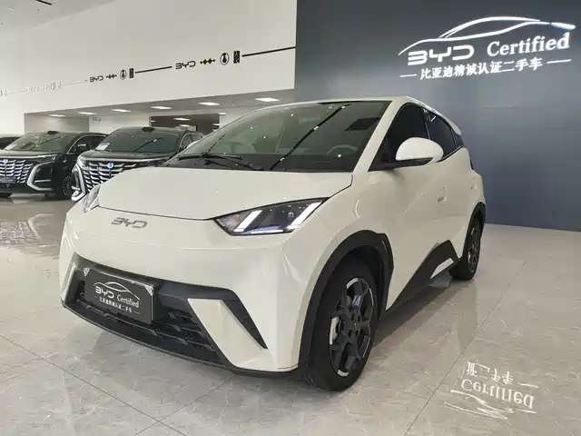 2024 BYD Seagull