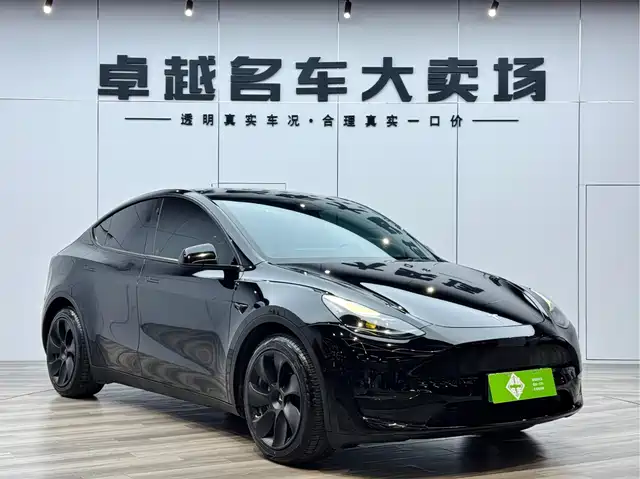 TESLA MODEL Y 2021