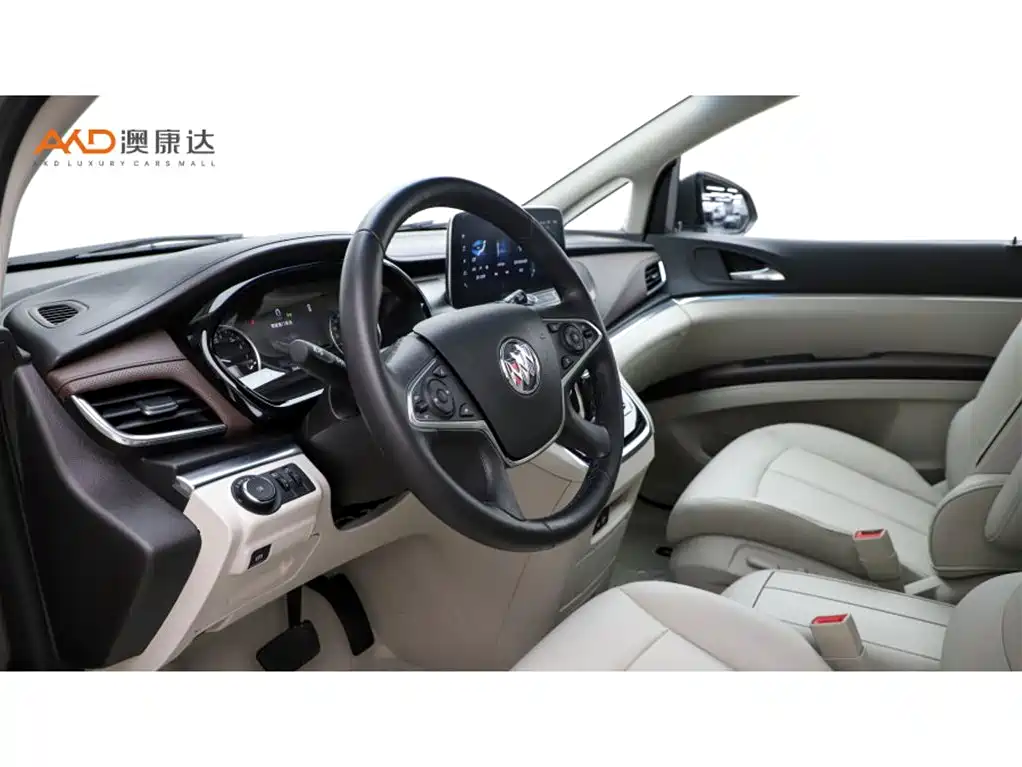 Buick GL8 — миниатюра 6
