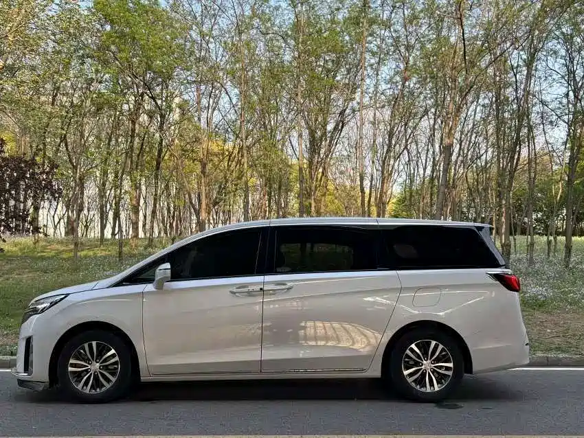 Buick GL8 — миниатюра 5