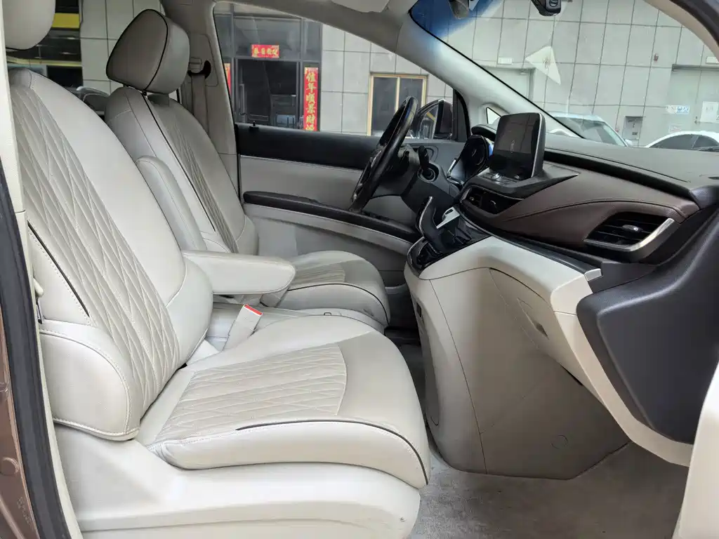 Buick GL8 — миниатюра 11