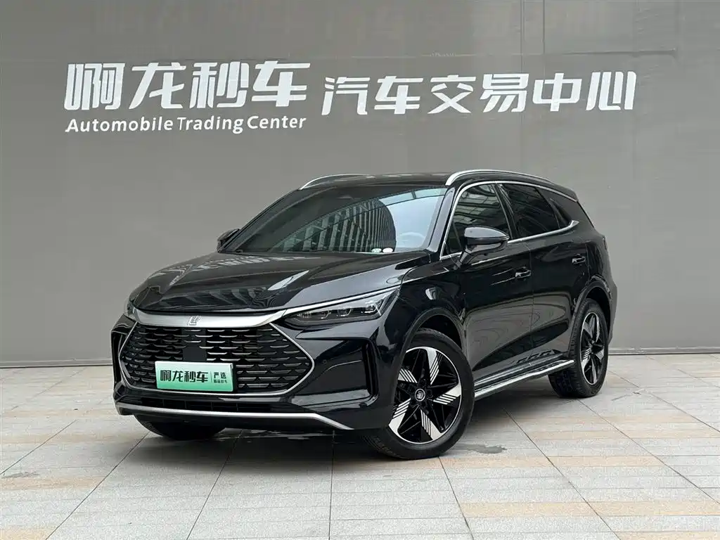 Byd Tang New Energy 2024