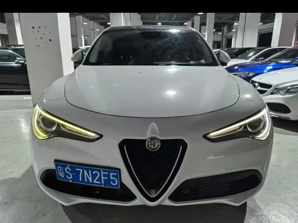 Alfa Romeo Stelvio 2.0T 200HP Elite Edition, фото 6