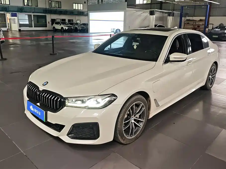 BMW 5 Series New Energy 2021