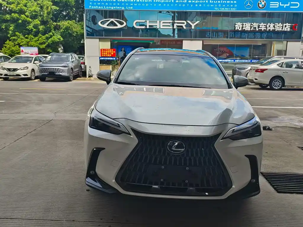 LEXUS  NX