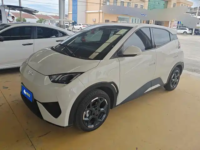 2025 BYD Seagull
