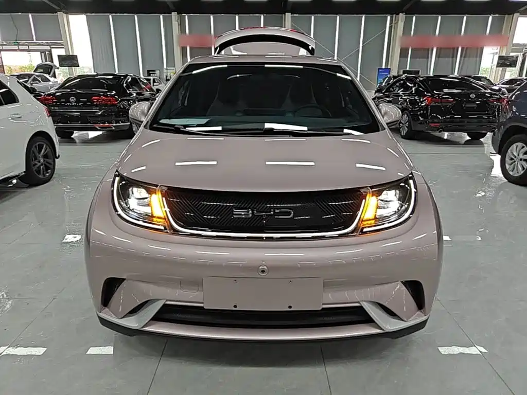 BYD Dolphin — миниатюра 3