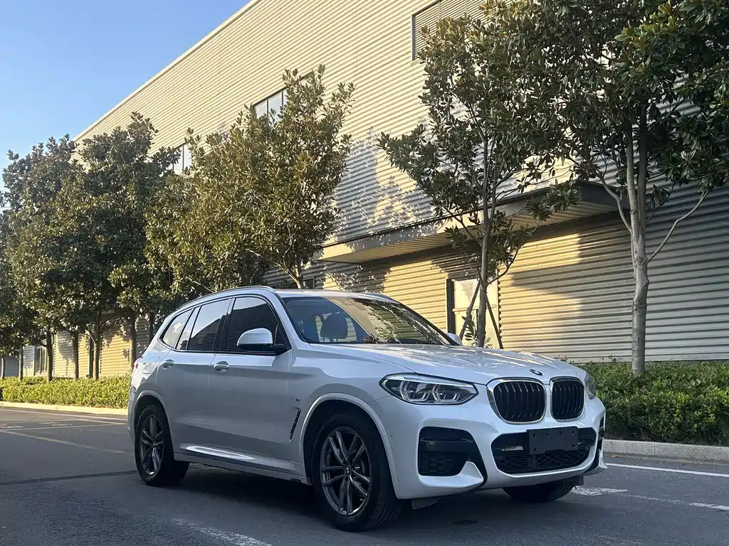 BMW X3 — миниатюра 2